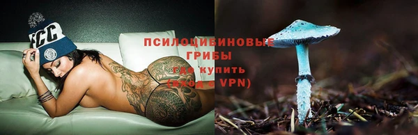 не бодяженный Гусь-Хрустальный