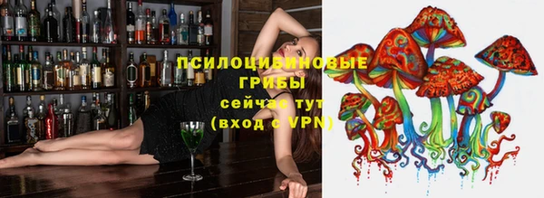 не бодяженный Гусь-Хрустальный